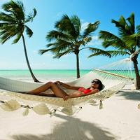 Отзыв от Ольга - DTV виза